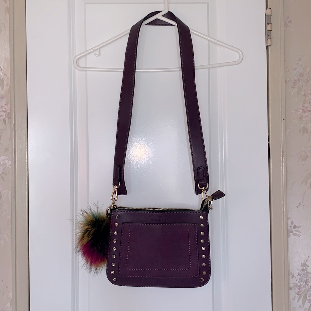 Celine dion envelope/crossbody purse